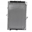 NISSENS 61447 - Radiateur, refroidissement du moteur