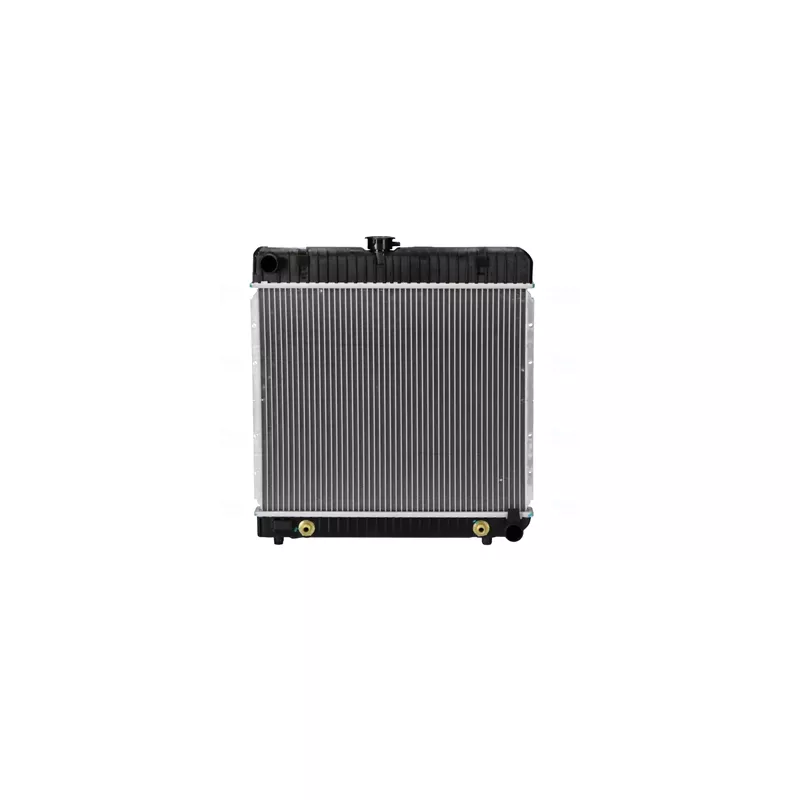 Radiateur, refroidissement du moteur NISSENS 62740 - Visuel 1