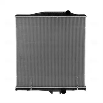Radiateur, refroidissement du moteur NISSENS OEM 8149362