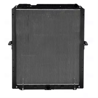 Radiateur, refroidissement du moteur NISSENS OEM A9605000901