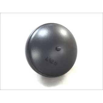 Accumulateur de pression, suspension/amortissement MAGNUM TECHNOLOGY OEM 5271J1