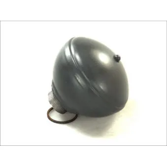 Accumulateur de pression, suspension/amortissement MAGNUM TECHNOLOGY OEM 527266