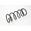 MAGNUM TECHNOLOGY SG023MT - Ressort de suspension