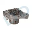 LTD LTD-19200PDFE01 - Pompe à eau