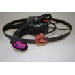 LTD LTD-1K0959455FJ - Ventilateur, refroidissement du moteur