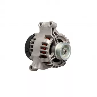 Alternateur LTD OEM 46542889