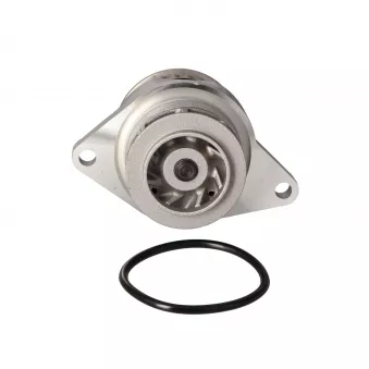 LTD LTD-036121005F - Pompe à eau