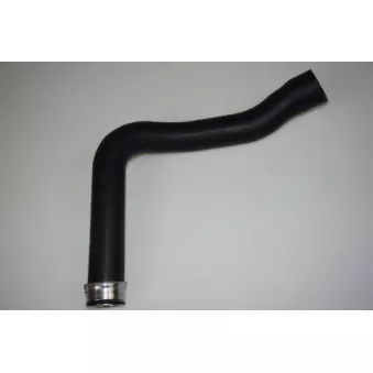 Durite de radiateur LTD OEM A2035010882
