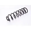 MAGNUM TECHNOLOGY SR074MT - Ressort de suspension