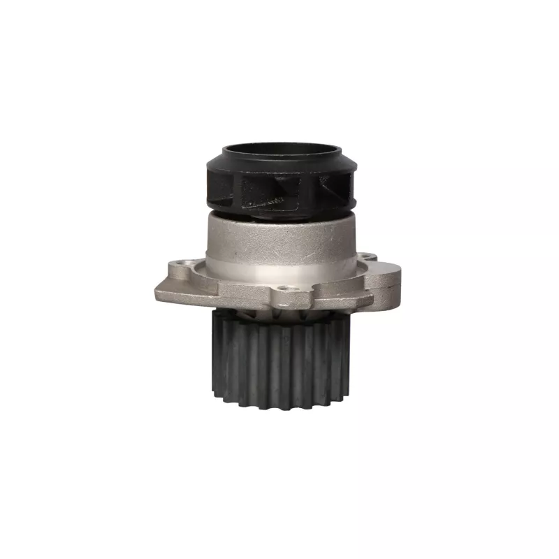 Pompe à eau LTD LTD-045121011G - Visuel 1