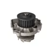 LTD LTD-55184081 - Pompe à eau