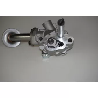 Pompe à huile LTD [LTD-055115105D]