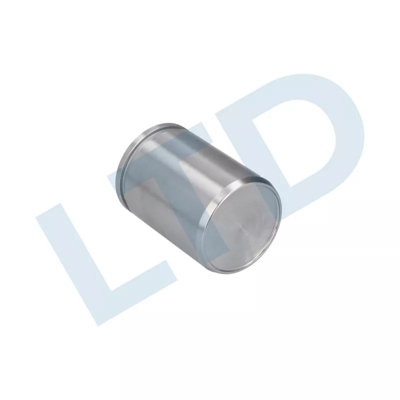 Piston, étrier de frein LTD LTD-090 - Visuel 2