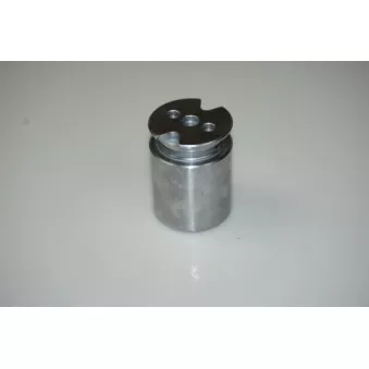 Piston, étrier de frein LTD LTD-264