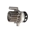 LTD LTD-045121011B - Pompe à eau