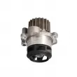 LTD LTD-045121011B - Pompe à eau