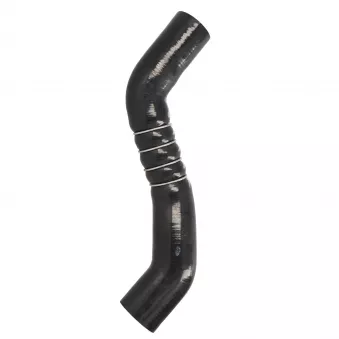 Gaine de suralimentation LTD OEM 14463BB30A
