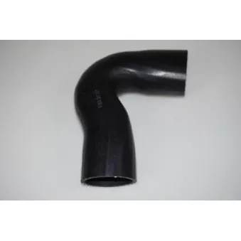 Gaine de suralimentation LTD OEM 1J0145838E