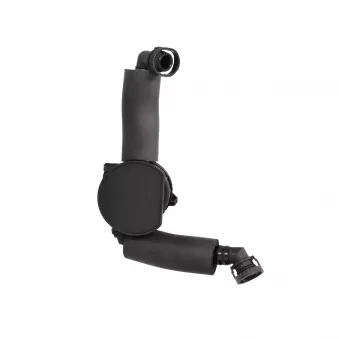 Tuyau, ventilation de carter-moteur LTD OEM 11617563476