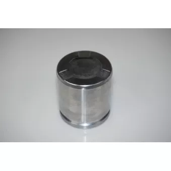 Piston, étrier de frein LTD OEM 1783932