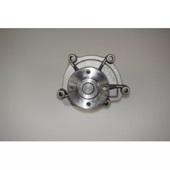Pompe à eau LTD OEM 069121005D