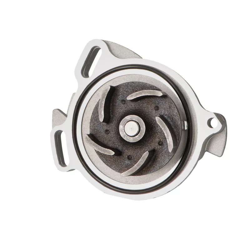 Pompe à eau LTD LTD-069121004D - Visuel 1