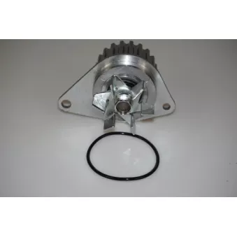 Pompe à eau LTD OEM 120147