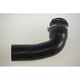 Gaine de suralimentation LTD OEM 11617790090