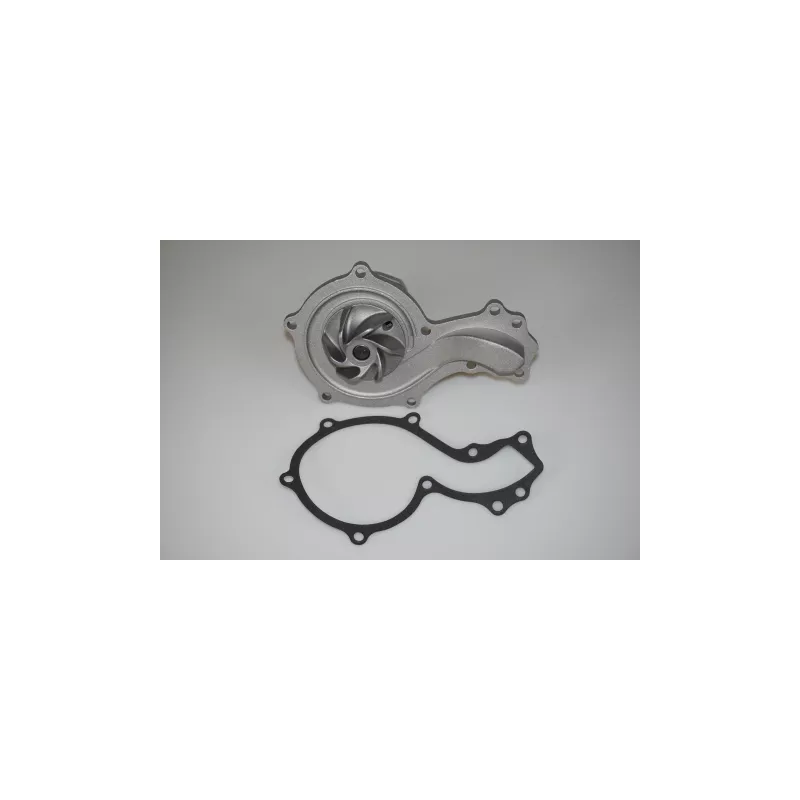 Pompe à eau LTD LTD-026121005A - Visuel 1