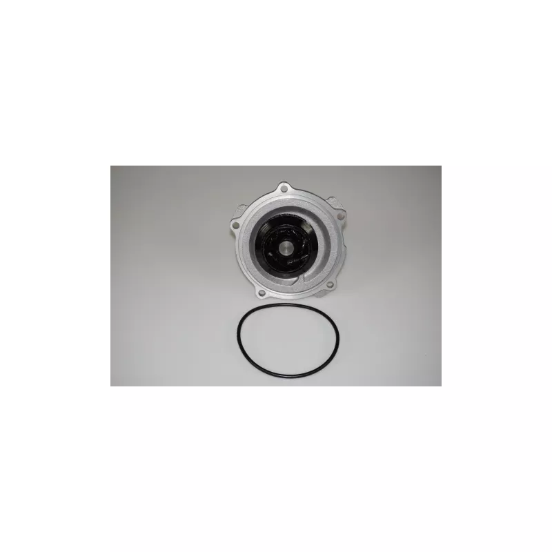 Pompe à eau LTD LTD-028121004 - Visuel 1