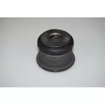 Suspension, corps de l'essieu LTD OEM 302275
