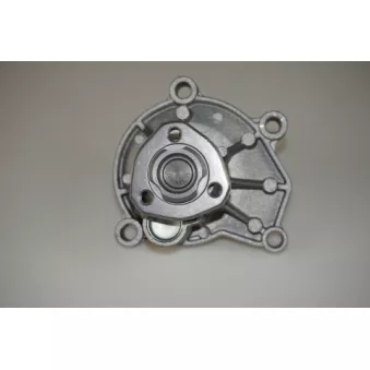 Pompe à eau LTD LTD-03D121005