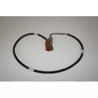 LTD LTD-03L906088AJ - Palpeur, température des gaz