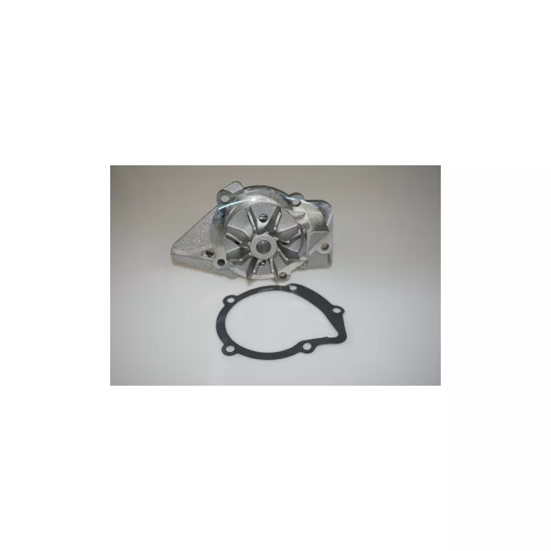 Pompe à eau LTD LTD-059121004B - Visuel 1