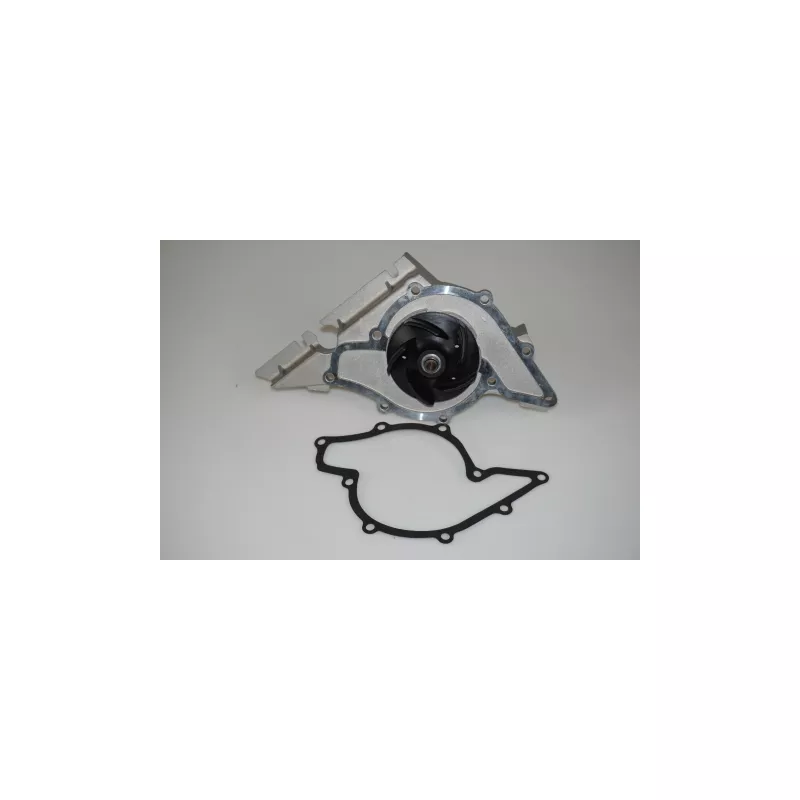 Pompe à eau LTD LTD-078121004H - Visuel 1