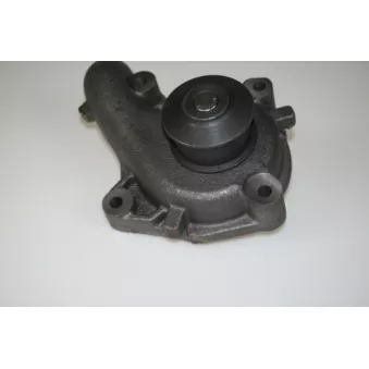 Pompe à eau LTD OEM 1317913