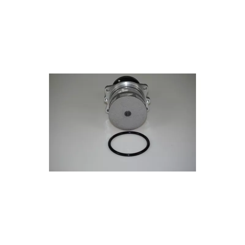 Pompe à eau LTD LTD-11510032679 - Visuel 1