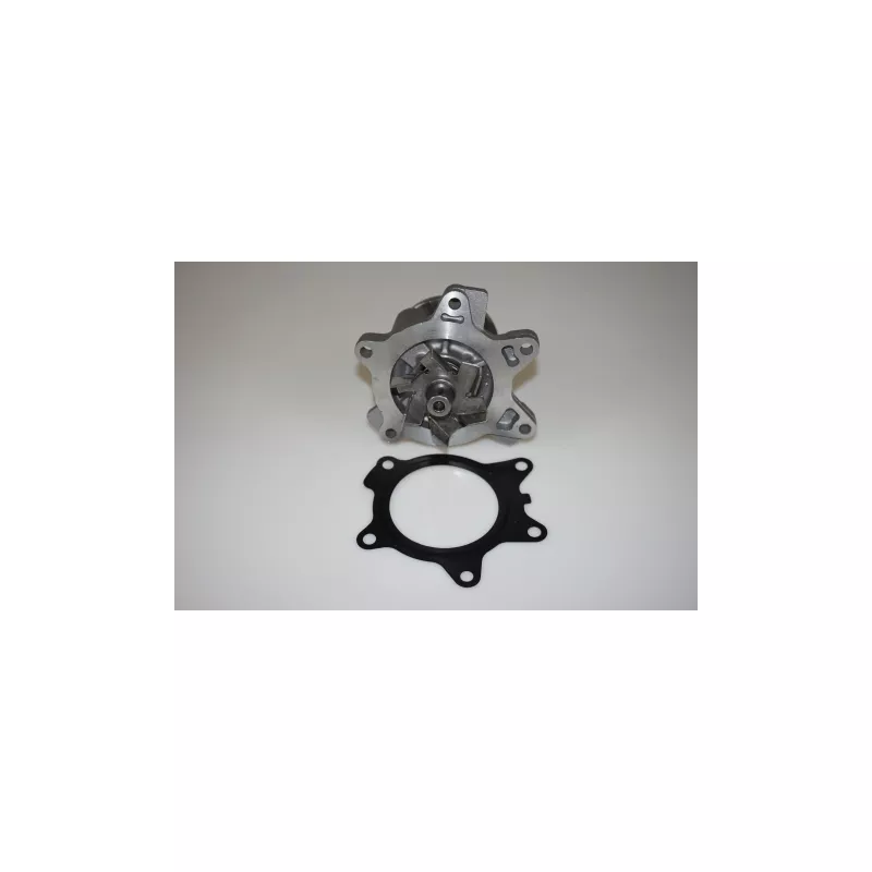 Pompe à eau LTD LTD-11517790871 - Visuel 1