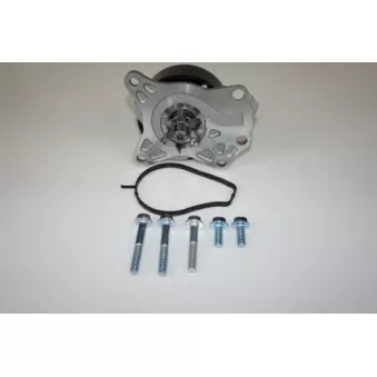 Pompe à eau LTD OEM 1201L3