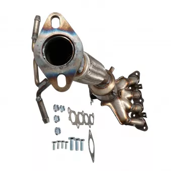 Catalyseur LTD OEM 36000004