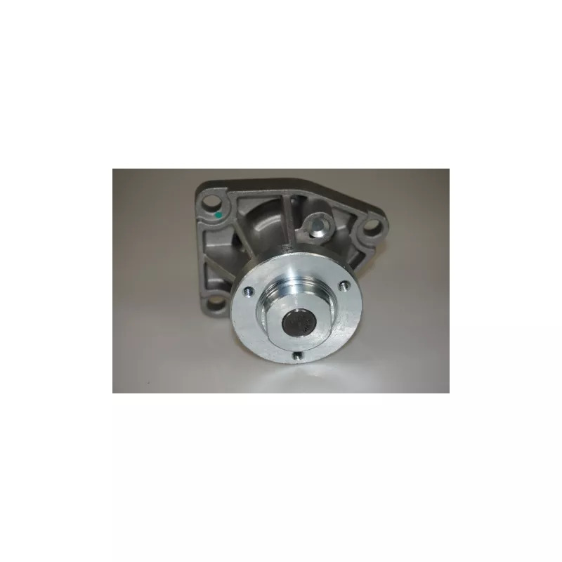 Pompe à eau LTD LTD-1334140 - Visuel 1