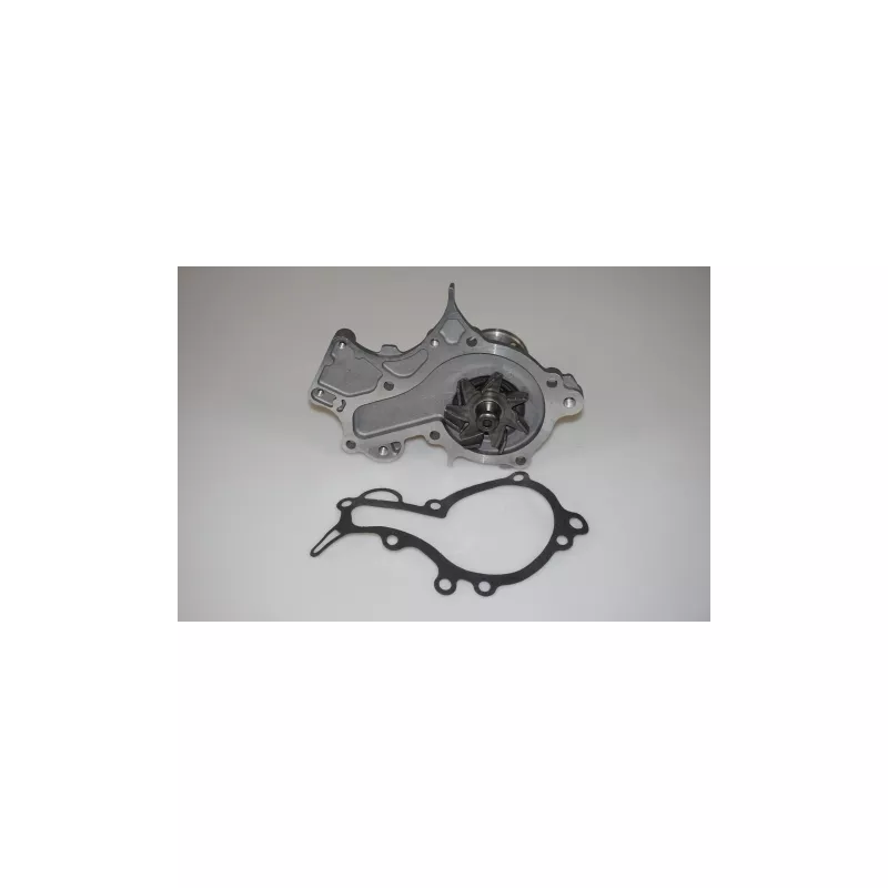 Pompe à eau LTD LTD-1740060810 - Visuel 1