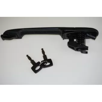 Poignée de porte LTD OEM 2D0837205