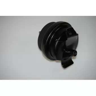 Support moteur LTD OEM 191199279B