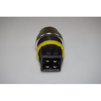Sonde de température, liquide de refroidissement LTD OEM 030919501A