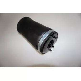 Ressort pneumatique, châssis arrière gauche LTD OEM 37126750355