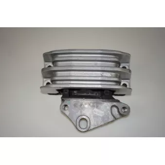 Support moteur LTD OEM 3C117M124AC