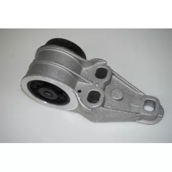 Suspension, corps de l'essieu arrière gauche LTD OEM 4B0501521D