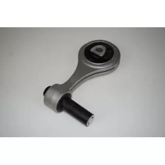 Support moteur LTD OEM 51837816