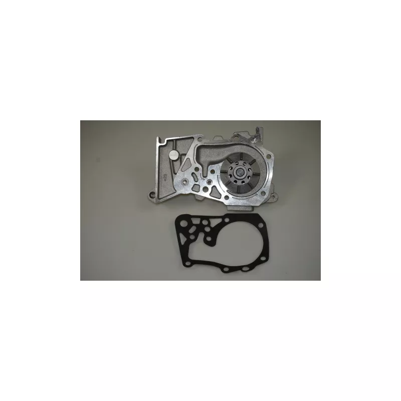 Pompe à eau LTD LTD-7700105378 - Visuel 1